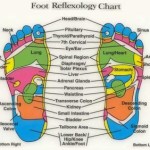 Foot Reflexology chart