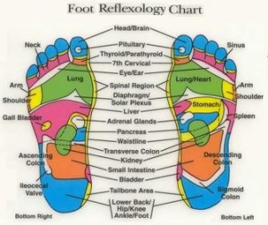 Foot Reflexology chart
